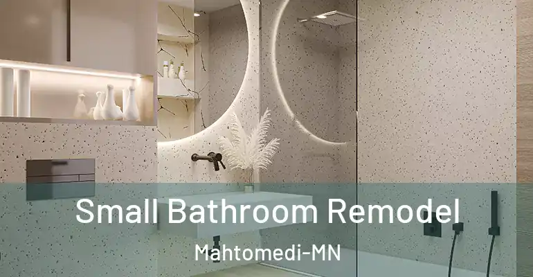 inner Bathroom imggen Small Bathroom Remodel Mahtomedi-MN