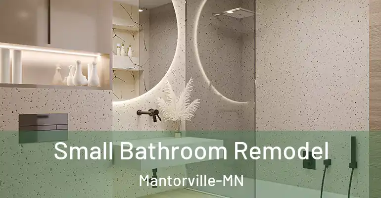inner Bathroom imggen Small Bathroom Remodel Mantorville-MN