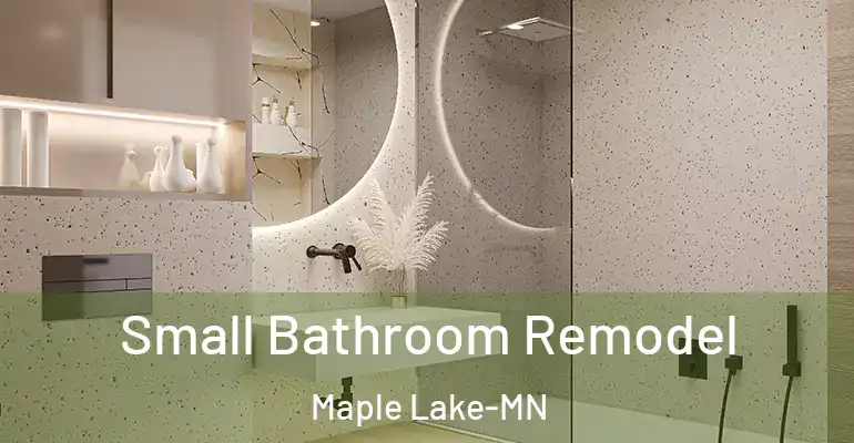 inner Bathroom imggen Small Bathroom Remodel Maple Lake-MN