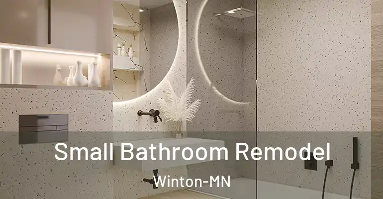 inner Bathroom imggen Small Bathroom Remodel Winton-MN