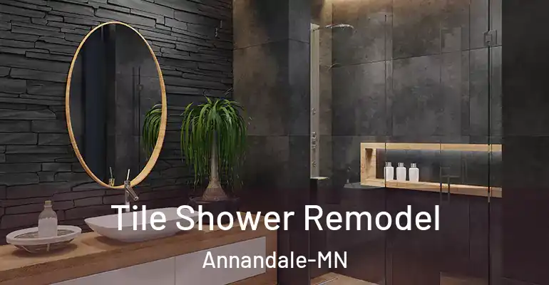inner Bathroom imggen Tile Shower Remodel Annandale-MN