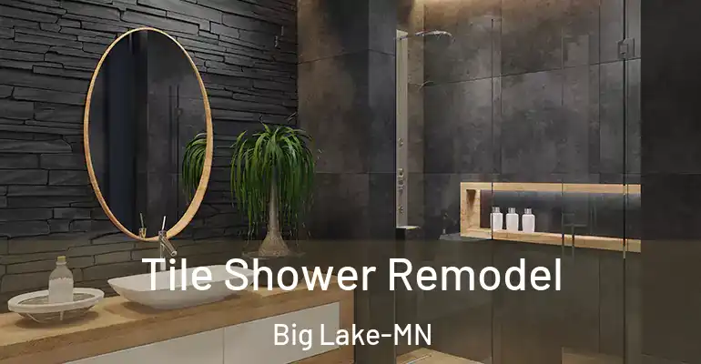 inner Bathroom imggen Tile Shower Remodel Big Lake-MN