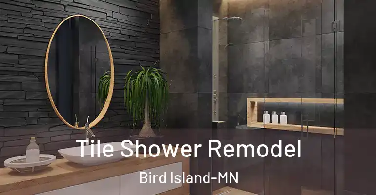 inner Bathroom imggen Tile Shower Remodel Bird Island-MN