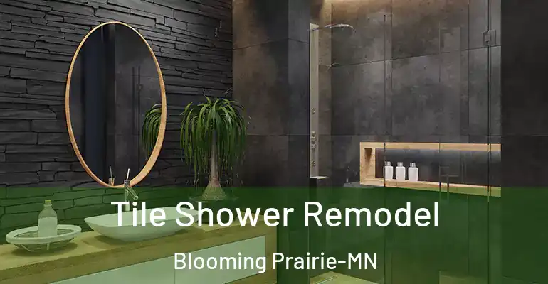 inner Bathroom imggen Tile Shower Remodel Blooming Prairie-MN