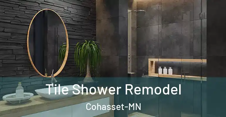 inner Bathroom imggen Tile Shower Remodel Cohasset-MN