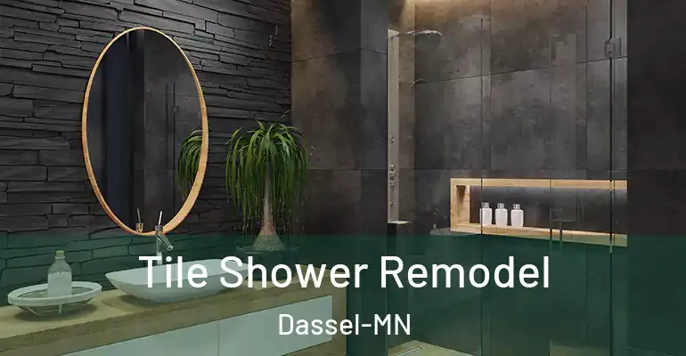 inner Bathroom imggen Tile Shower Remodel Dassel-MN