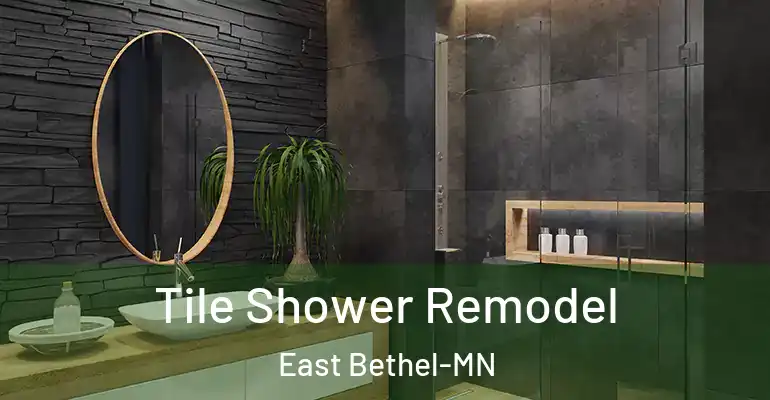 inner Bathroom imggen Tile Shower Remodel East Bethel-MN
