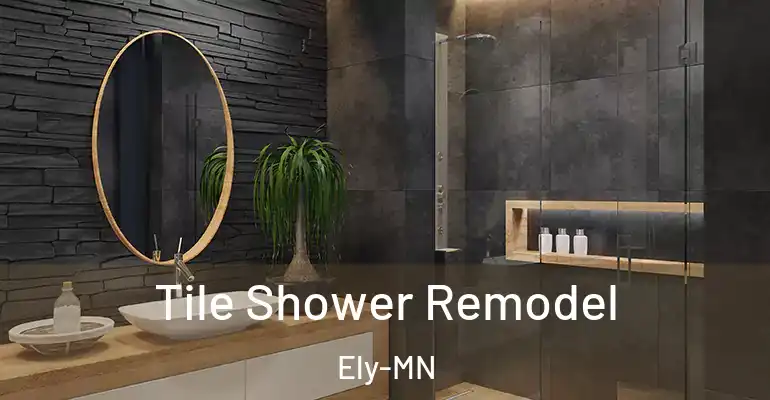 inner Bathroom imggen Tile Shower Remodel Ely-MN
