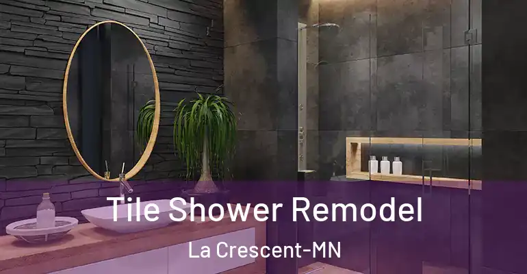inner Bathroom imggen Tile Shower Remodel La Crescent-MN
