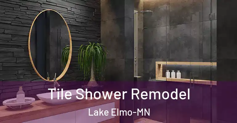 inner Bathroom imggen Tile Shower Remodel Lake Elmo-MN
