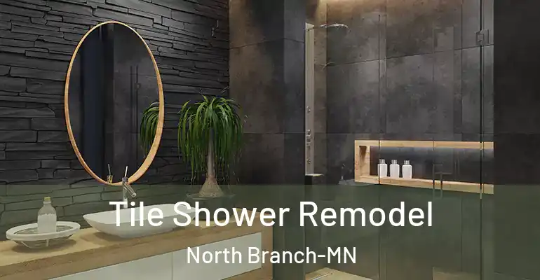 inner Bathroom imggen Tile Shower Remodel North Branch-MN