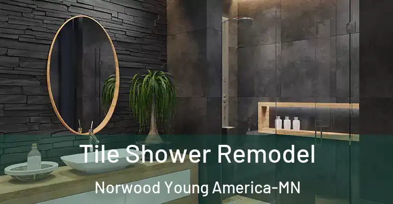 inner Bathroom imggen Tile Shower Remodel Norwood Young America-MN