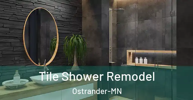 inner Bathroom imggen Tile Shower Remodel Ostrander-MN