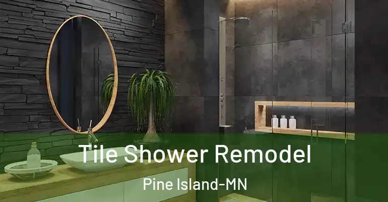 inner Bathroom imggen Tile Shower Remodel Pine Island-MN