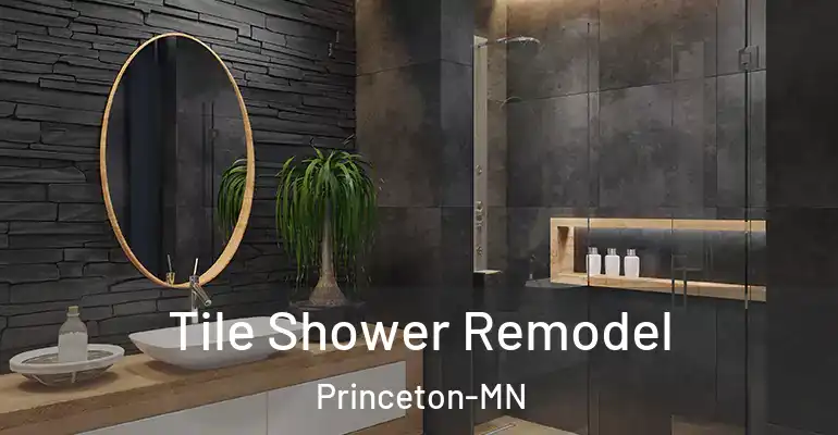 inner Bathroom imggen Tile Shower Remodel Princeton-MN