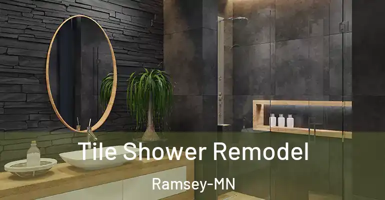 inner Bathroom imggen Tile Shower Remodel Ramsey-MN
