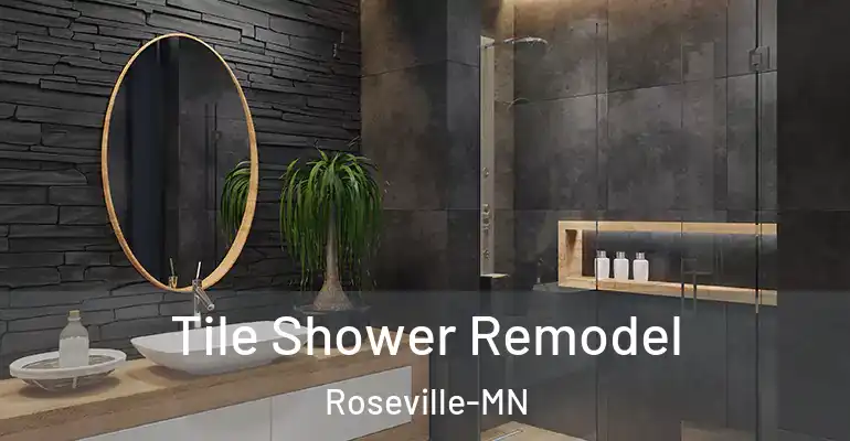 inner Bathroom imggen Tile Shower Remodel Roseville-MN
