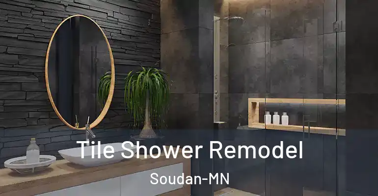 inner Bathroom imggen Tile Shower Remodel Soudan-MN