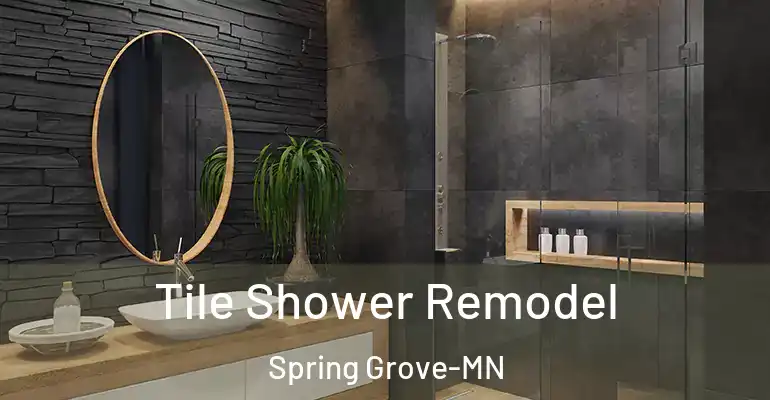 inner Bathroom imggen Tile Shower Remodel Spring Grove-MN
