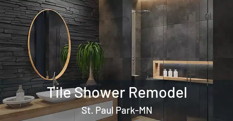 inner Bathroom imggen Tile Shower Remodel St. Paul Park-MN