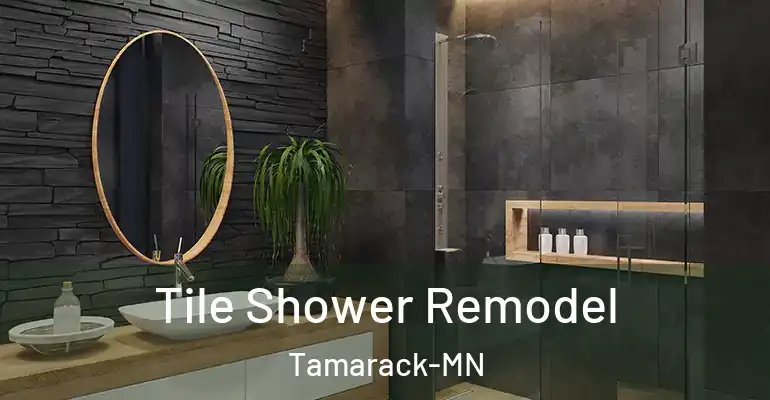 inner Bathroom imggen Tile Shower Remodel Tamarack-MN
