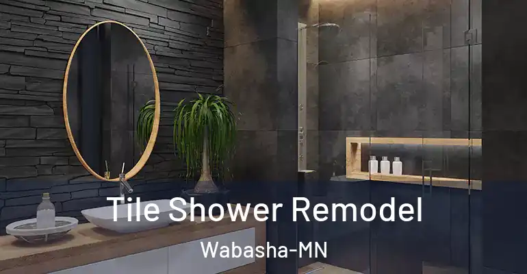 inner Bathroom imggen Tile Shower Remodel Wabasha-MN
