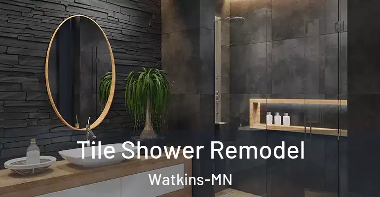inner Bathroom imggen Tile Shower Remodel Watkins-MN