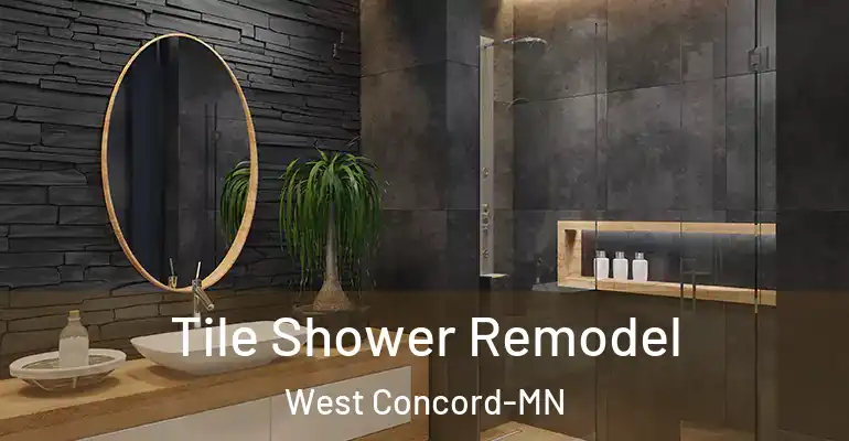 inner Bathroom imggen Tile Shower Remodel West Concord-MN