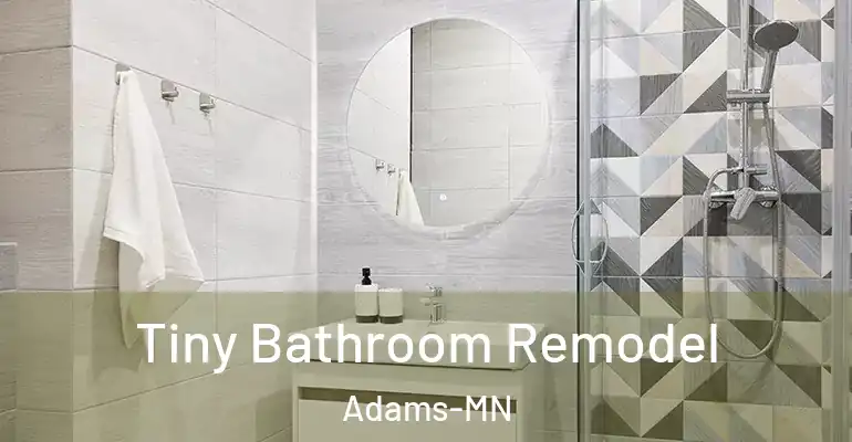 inner Bathroom imggen Tiny Bathroom Remodel Adams-MN