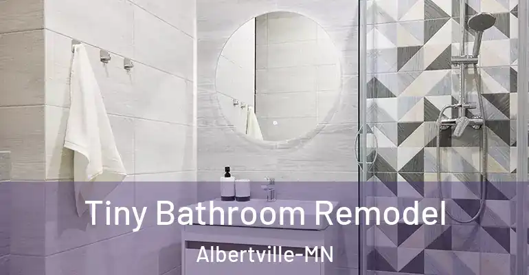 inner Bathroom imggen Tiny Bathroom Remodel Albertville-MN