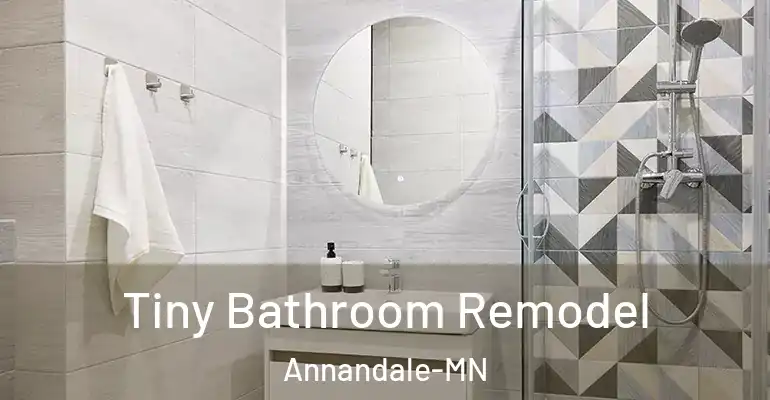 inner Bathroom imggen Tiny Bathroom Remodel Annandale-MN
