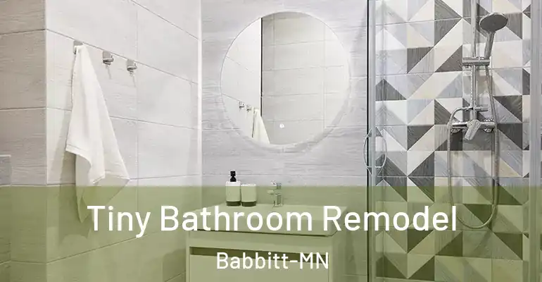 inner Bathroom imggen Tiny Bathroom Remodel Babbitt-MN