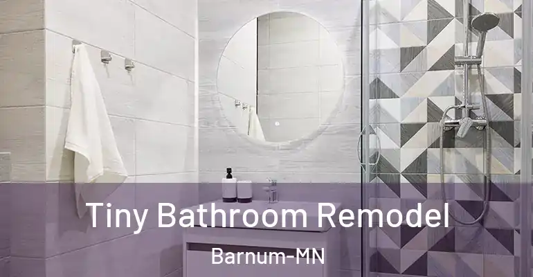 inner Bathroom imggen Tiny Bathroom Remodel Barnum-MN