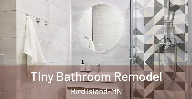 inner Bathroom imggen Tiny Bathroom Remodel Bird Island-MN