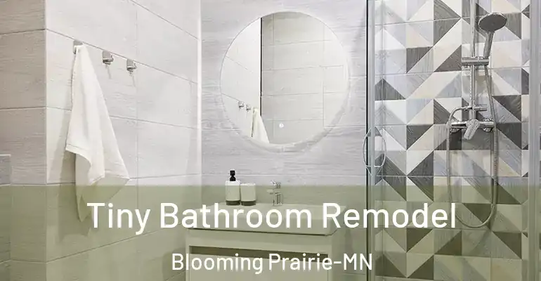 inner Bathroom imggen Tiny Bathroom Remodel Blooming Prairie-MN