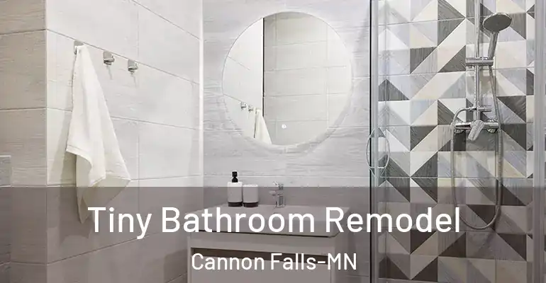 inner Bathroom imggen Tiny Bathroom Remodel Cannon Falls-MN