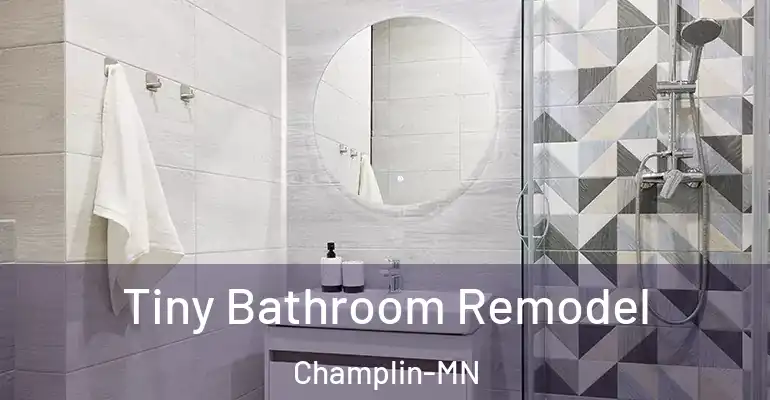 inner Bathroom imggen Tiny Bathroom Remodel Champlin-MN