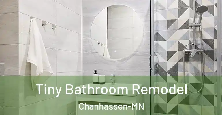 inner Bathroom imggen Tiny Bathroom Remodel Chanhassen-MN