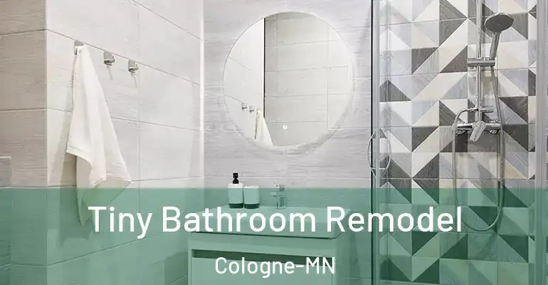 inner Bathroom imggen Tiny Bathroom Remodel Cologne-MN