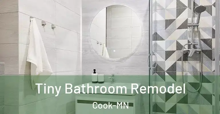 inner Bathroom imggen Tiny Bathroom Remodel Cook-MN