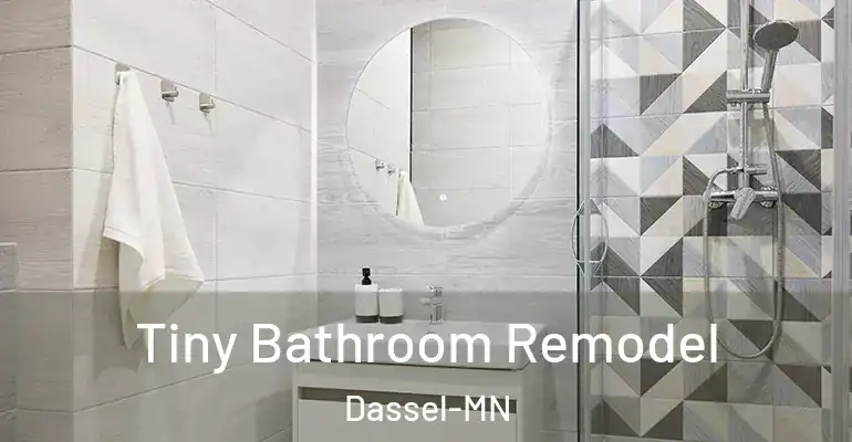 inner Bathroom imggen Tiny Bathroom Remodel Dassel-MN
