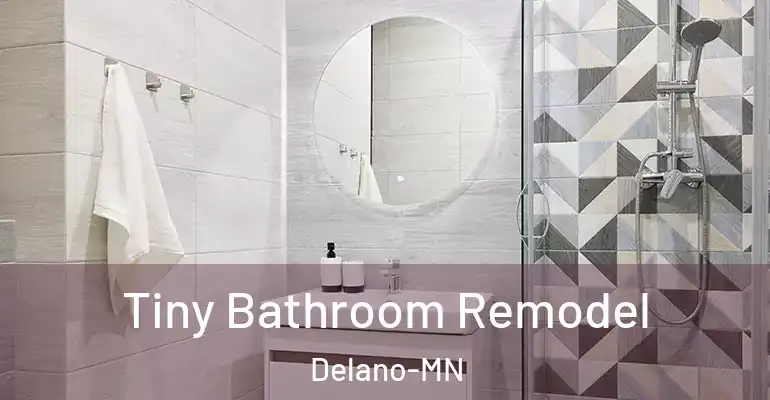 inner Bathroom imggen Tiny Bathroom Remodel Delano-MN