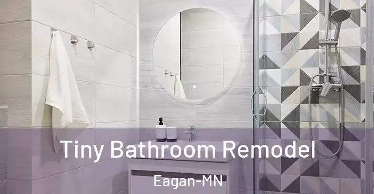 inner Bathroom imggen Tiny Bathroom Remodel Eagan-MN
