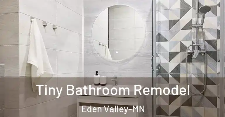 inner Bathroom imggen Tiny Bathroom Remodel Eden Valley-MN