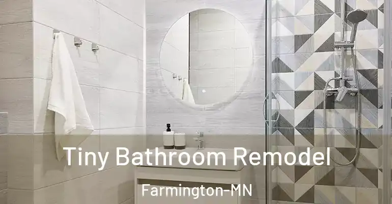 inner Bathroom imggen Tiny Bathroom Remodel Farmington-MN