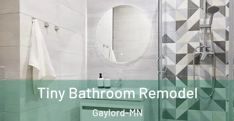 inner Bathroom imggen Tiny Bathroom Remodel Gaylord-MN