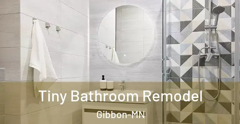 inner Bathroom imggen Tiny Bathroom Remodel Gibbon-MN