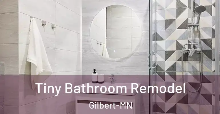 inner Bathroom imggen Tiny Bathroom Remodel Gilbert-MN