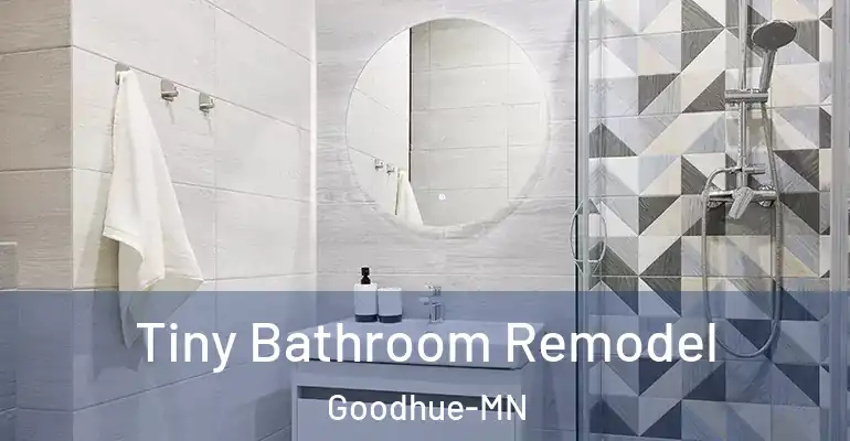 inner Bathroom imggen Tiny Bathroom Remodel Goodhue-MN