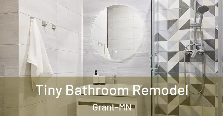 inner Bathroom imggen Tiny Bathroom Remodel Grant-MN